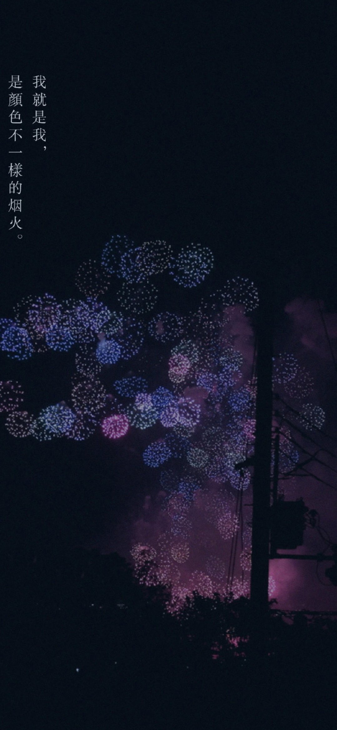 我就是我不一样的烟火是什么意思