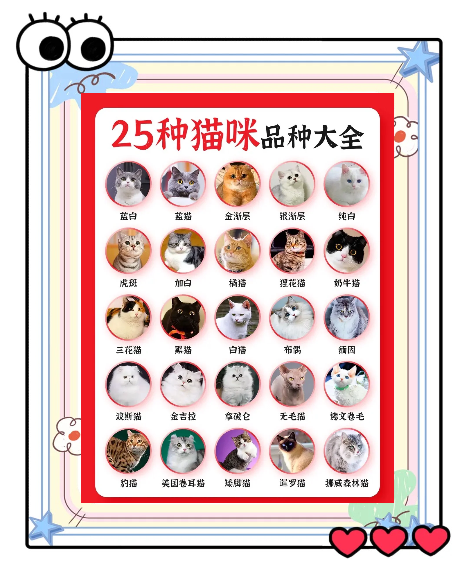 小猫名字推荐